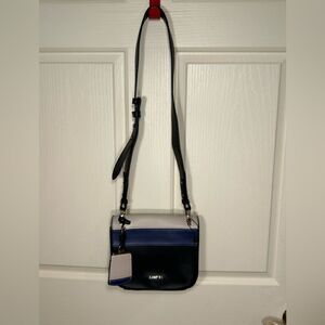 Carpisa purse 